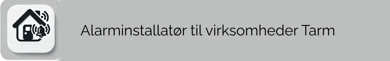 Alarminstallatør til virksomheder Tarm